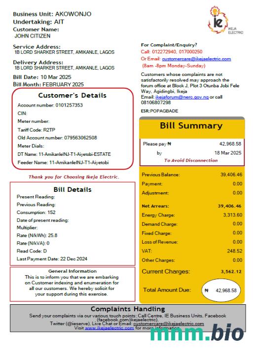 Szablon rachunku za media elektryczne w Nigerii Ikeja w formatach Word i PDF